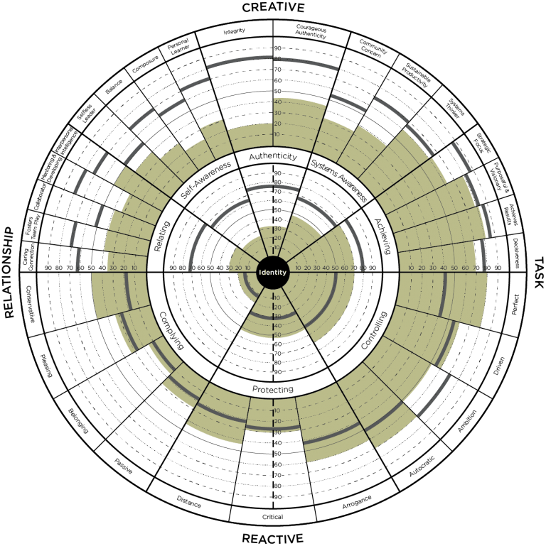 Leadership Circle Profile